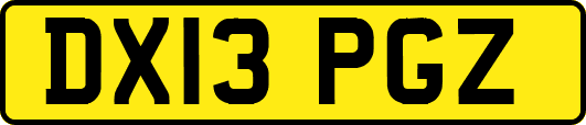 DX13PGZ