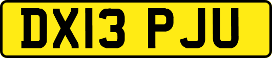 DX13PJU