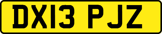 DX13PJZ