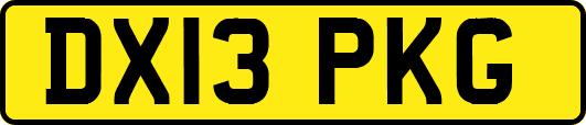 DX13PKG