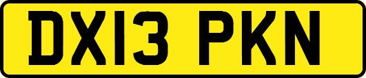 DX13PKN