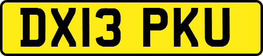 DX13PKU