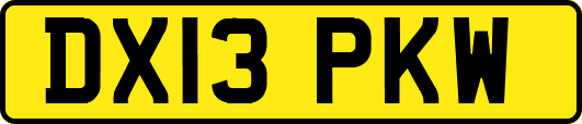 DX13PKW