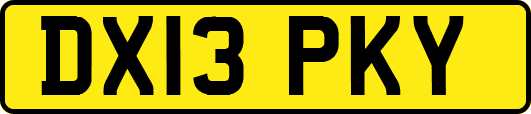 DX13PKY