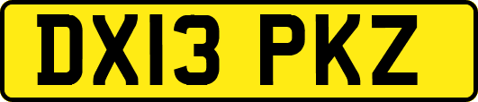 DX13PKZ