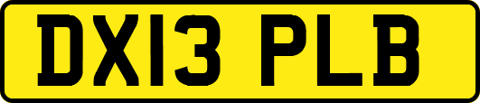 DX13PLB