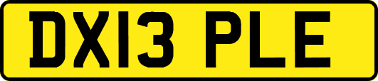 DX13PLE