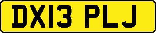 DX13PLJ