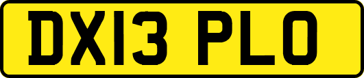 DX13PLO