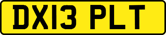 DX13PLT