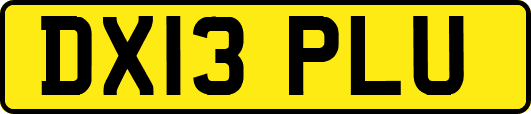 DX13PLU