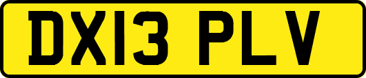 DX13PLV