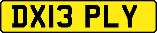 DX13PLY