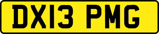 DX13PMG