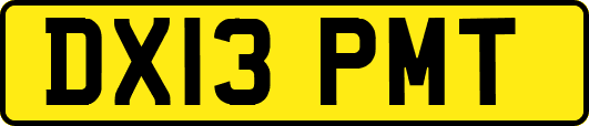 DX13PMT