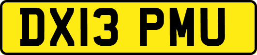 DX13PMU