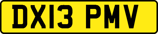 DX13PMV