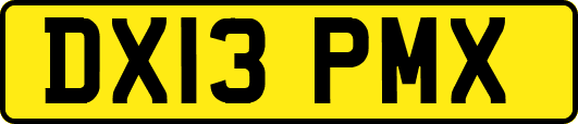 DX13PMX