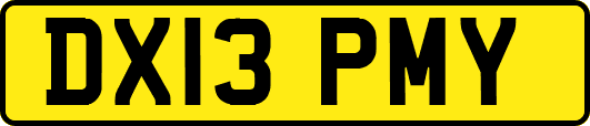 DX13PMY