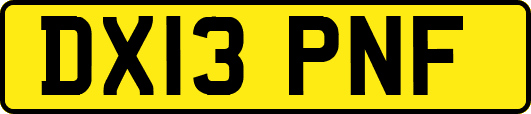 DX13PNF