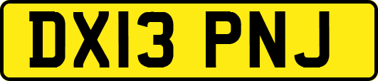 DX13PNJ