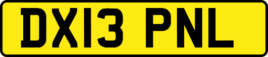 DX13PNL
