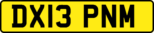 DX13PNM