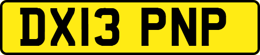 DX13PNP