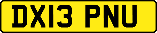 DX13PNU