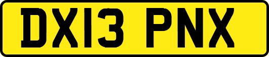 DX13PNX