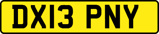 DX13PNY