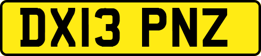 DX13PNZ