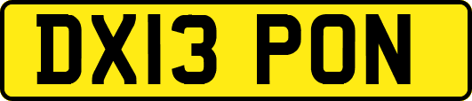 DX13PON