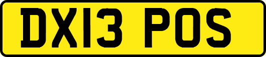 DX13POS