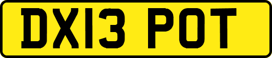 DX13POT