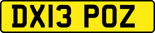 DX13POZ