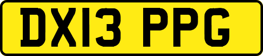 DX13PPG