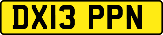 DX13PPN