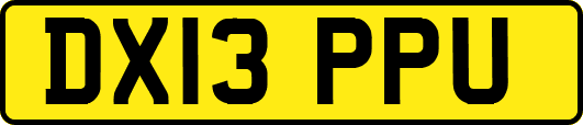 DX13PPU