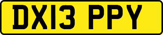 DX13PPY