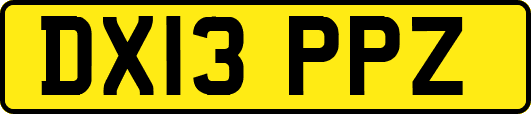 DX13PPZ