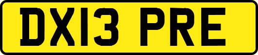 DX13PRE