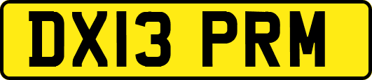 DX13PRM