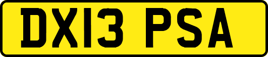 DX13PSA