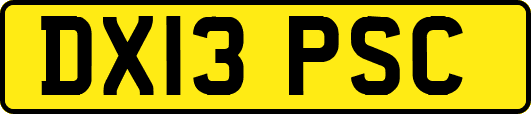 DX13PSC