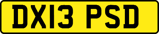DX13PSD
