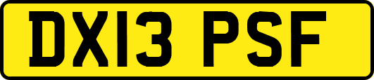 DX13PSF