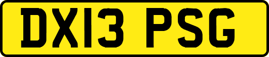 DX13PSG
