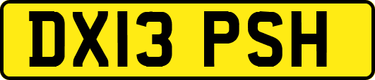 DX13PSH