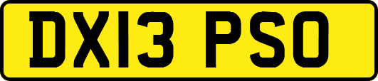 DX13PSO